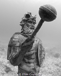 THE GUARDIAN OF THE REEF
by Simon Morris
Cayman newest ... by Ellen Cuylaerts 
